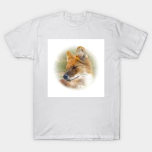 Dhole-asian wild dog T-Shirt